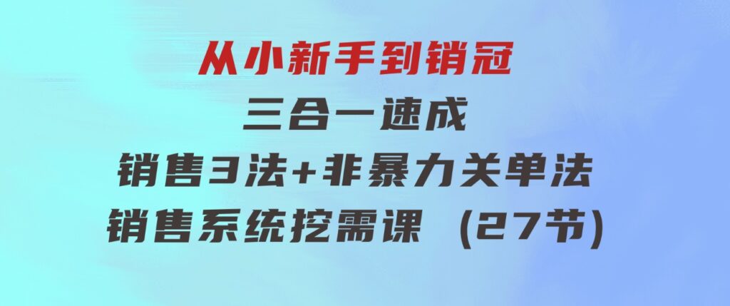 从小新手到销冠三合一速成：销售3法+非暴力关单法+销售系统挖需课(27节)-大磊资源网
