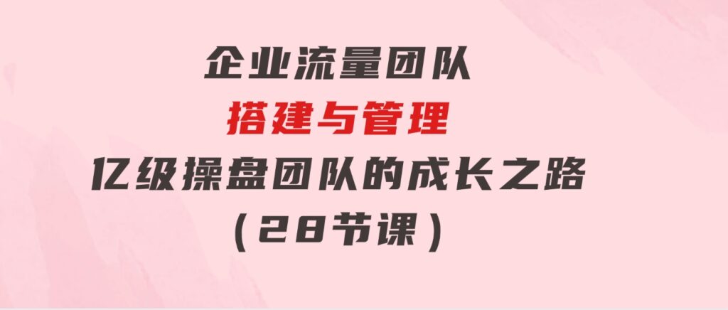 企业流量团队-搭建与管理，亿级操盘团队的成长之路（28节课）-大磊资源网