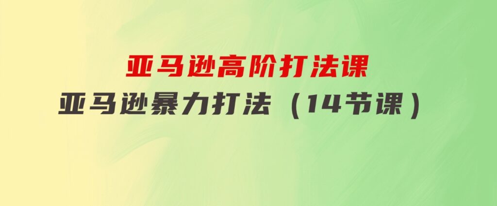 亚马逊高阶打法课，亚马逊暴力打法（14节课）-大磊资源网
