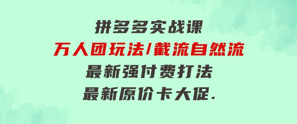 拼多多·实战课：万人团玩法/截流自然流/最新强付费打法/最新原价卡大促..-大磊资源网