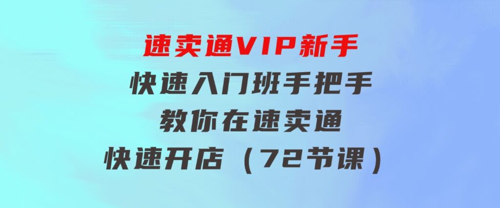 速卖通-VIP新手快速入门班，手把手教你在速卖通快速开店（72节课）-大磊资源网