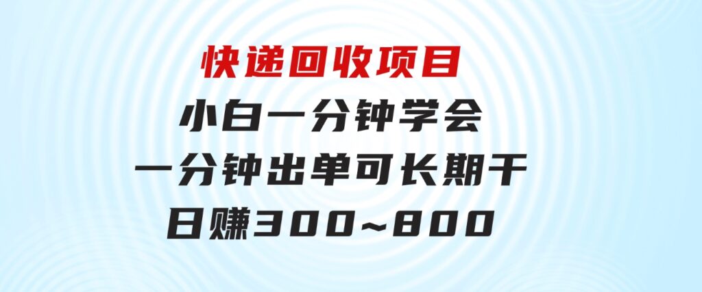 快递回收项目，小白一分钟学会，一分钟出单，可长期干，日赚300~800-大磊资源网