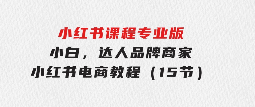 小红书课程专业版，小白，达人，品牌商家，小红书电商教程（15节）-大磊资源网