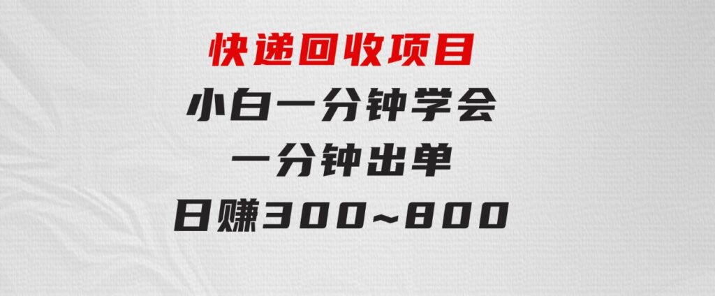 快递回收项目，容易上手，小白一分钟学会，一分钟出单，日赚300~800-大磊资源网