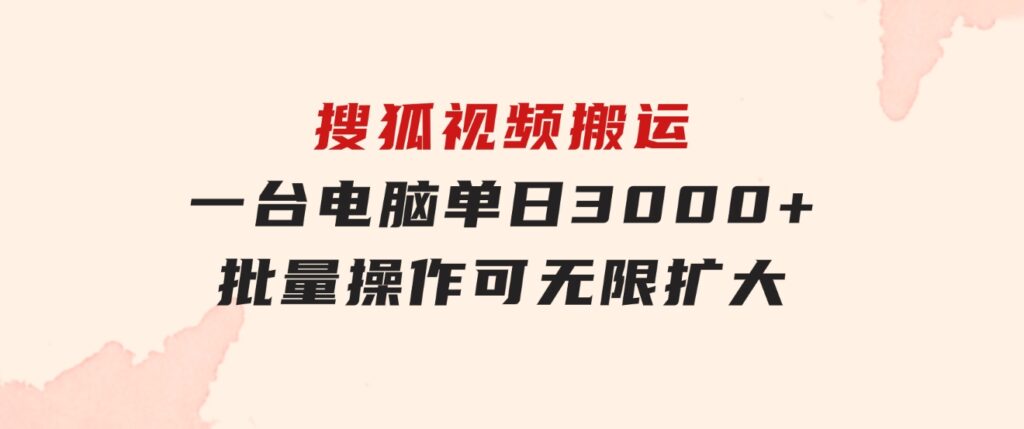 搜狐视频搬运，一台电脑单日3000+，批量操作，可无限扩大-大磊资源网