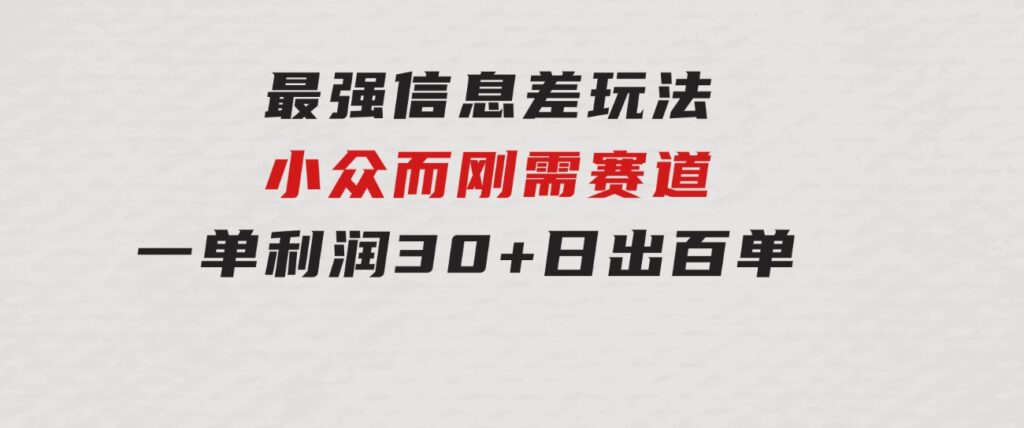 最强信息差玩法小众而刚需赛道一单利润30+日出百单做就100%挣钱-大磊资源网