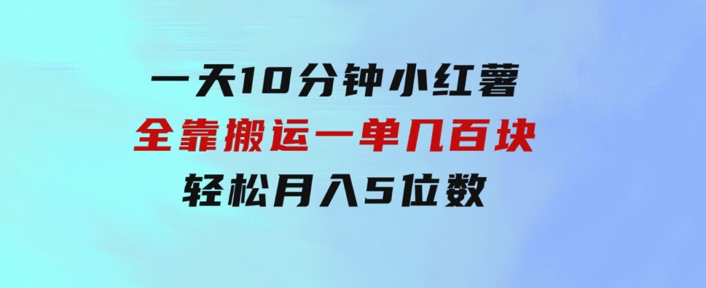 一天10分钟小红薯全靠搬运一单几百块轻松月入5位数-大磊资源网