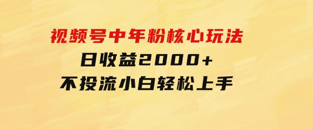 视频号中年粉核心玩法日收益2000+不投流小白轻松上手-大磊资源网