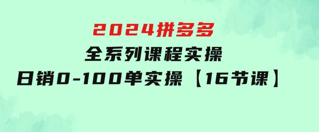2024拼多多全系列课程实操，日销0-100单实操【16节课】-大磊资源网