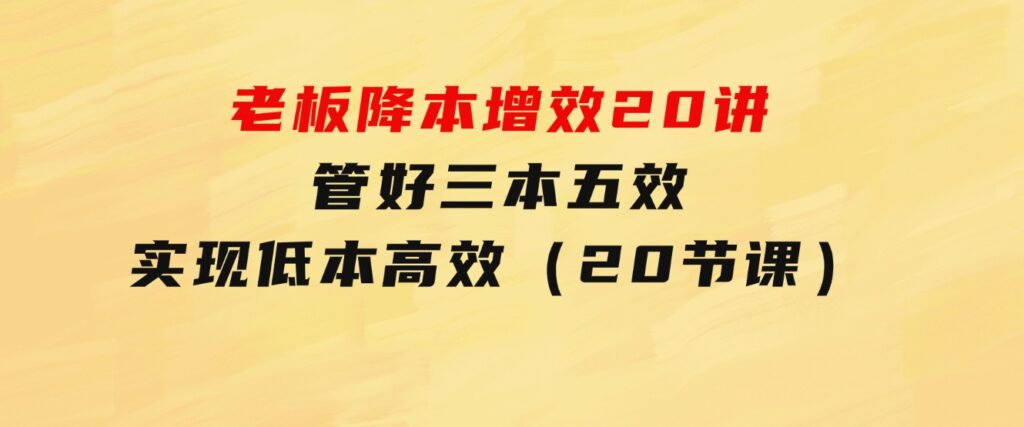 老板降本增效20讲，管好三本五效，实现低本高效（20节课）-大磊资源网