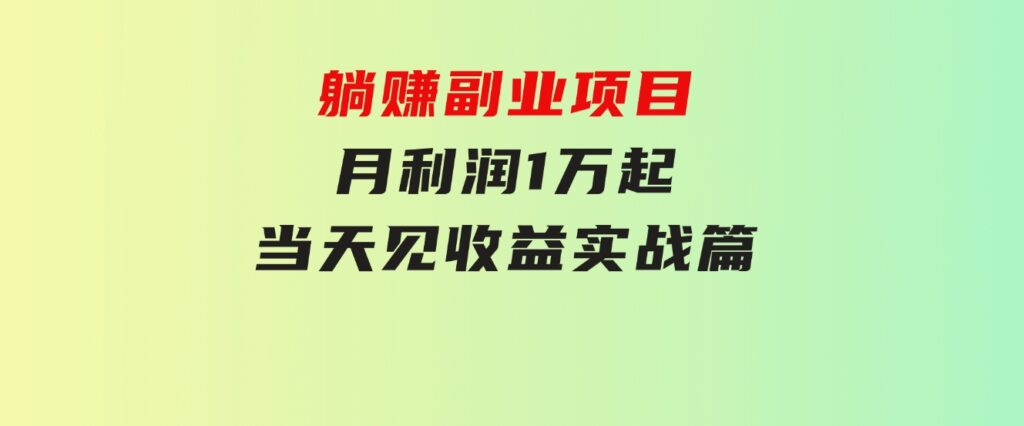 躺赚副业项目，月利润1万起，当天见收益，实战篇-大磊资源网