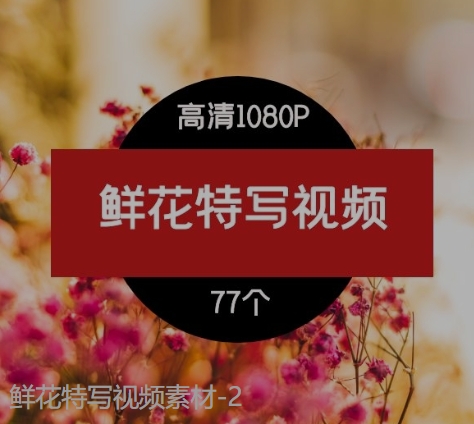 鲜花特写视频素材-2-大磊资源网