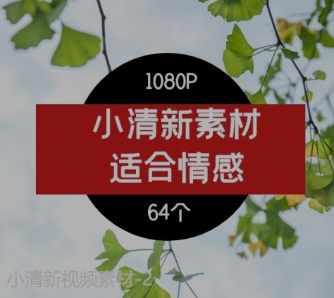 小清新视频素材-2-大磊资源网