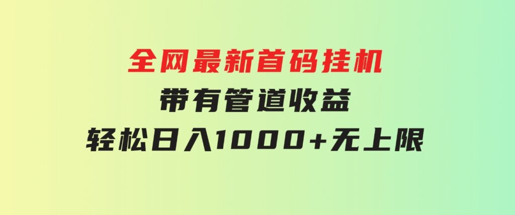 全网最新首码挂机，带有管道收益，轻松日入1000+无上限-大磊资源网