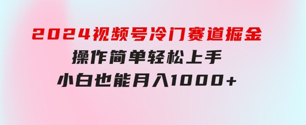 2024视频号冷门赛道掘金，操作简单轻松上手，小白也能月入1000+-大磊资源网