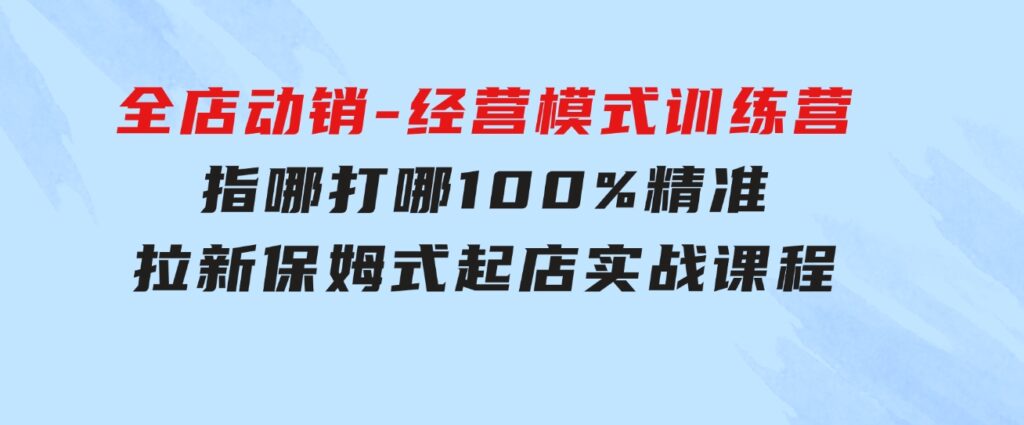 全店动销-经营模式训练营，指哪打哪100%精准拉新保姆式起店实战课程-大磊资源网
