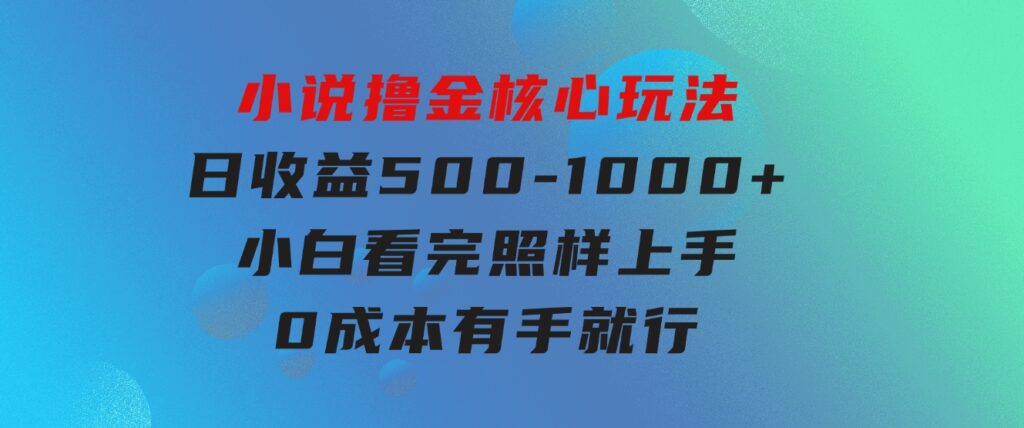 小说撸金核心玩法，日收益500-1000+，小白看完照样上手，0成本有手就行-大磊资源网
