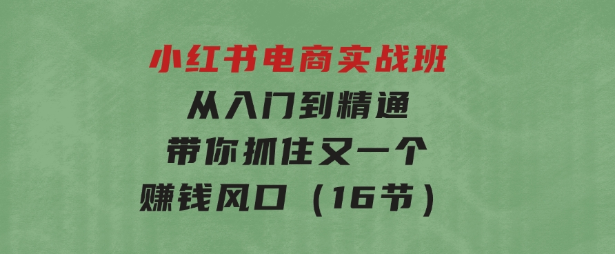 小红书电商实战班，从入门到精通，带你抓住又一个赚钱风口（16节）-大磊资源网