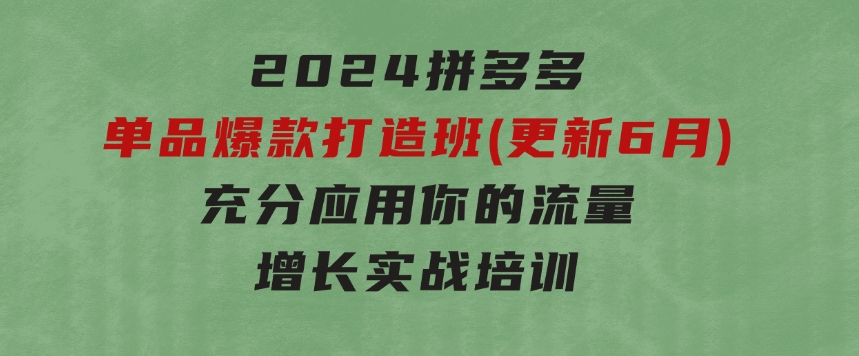 2024拼多多-单品爆款打造班(更新6月)，充分应用你的流量，增长实战培训-大磊资源网