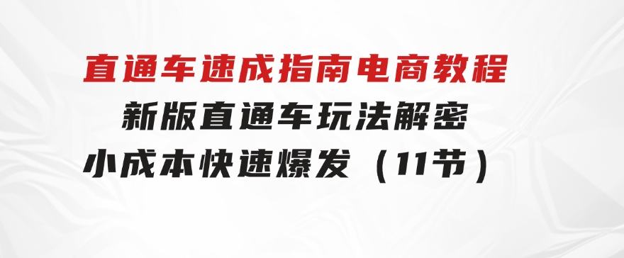 直通车速成指南电商教程：新版直通车玩法解密，小成本快速爆发（11节）-大磊资源网