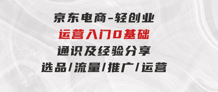 京东电商-轻创业运营入门0基础通识及经验分享：选品/流量/推广/运营-大磊资源网