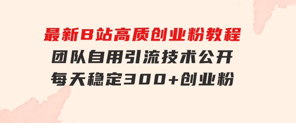 最新B站高质创业粉教程，团队自用引流技术公开，每天稳定300+创业粉-大磊资源网