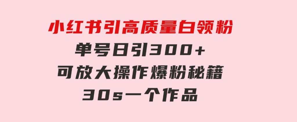 小红书引高质量白领粉，单号日引300+，可放大操作，爆粉秘籍！30s一个作品-大磊资源网