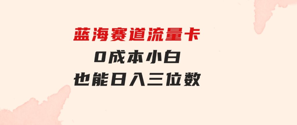 蓝海赛道流量卡0成本小白也能日入三位数-大磊资源网