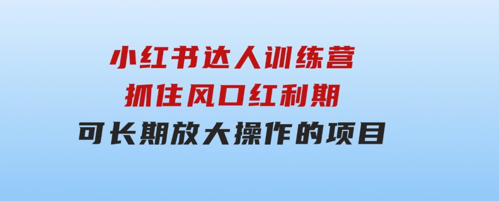 小红书达人训练营-第4期：抓住风口红利期，可长期，放大操作的项目-大磊资源网