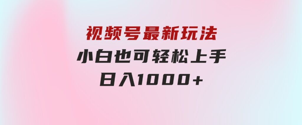 视频号最新玩法，小白也可轻松上手，日入1000+-大磊资源网