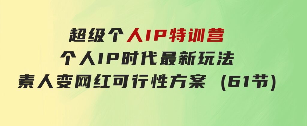 超级个人IP特训营，个人IP时代才最新玩法，素人变网红可行性方案(61节)-大磊资源网