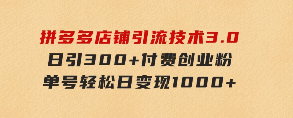 拼多多店铺引流技术3.0，日引300+付费创业粉，单号轻松日变现1000+-大磊资源网