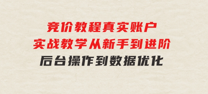 竞价教程：真实账户实战教学从新手到进阶·后台操作到数据优化-大磊资源网