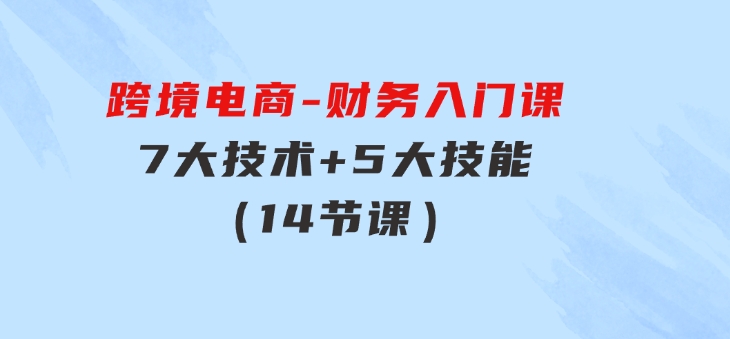 跨境电商-财务入门课：7大技术+5大技能（14节课）-大磊资源网