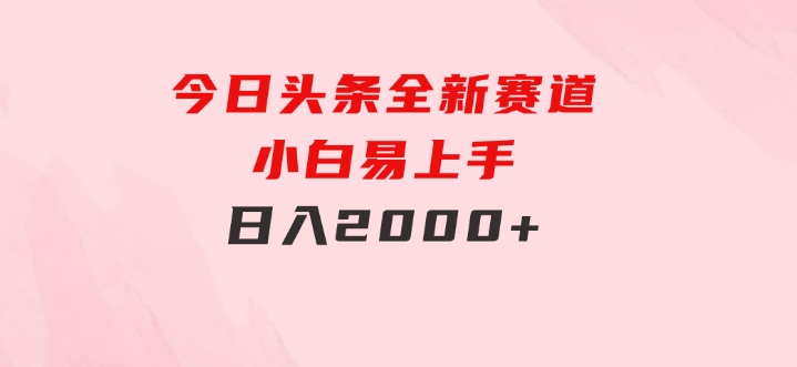 今日头条，全新赛道，小白易上手，日入2000+-大磊资源网