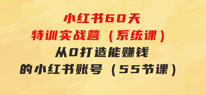 小红书60天特训实战营（系统课）从0打造能赚钱的小红书账号（55节课）-大磊资源网