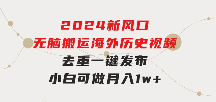 2024新风口，无脑搬运海外历史视频，去重一键发布，小白可做，月入1w不…-大磊资源网