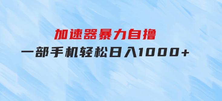 加速器暴力自撸，一部手机轻松日入1000+-大磊资源网