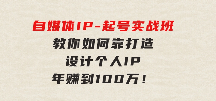 自媒体IP-起号实战班：教你如何靠打造设计个人IP，年赚到100万！-大磊资源网