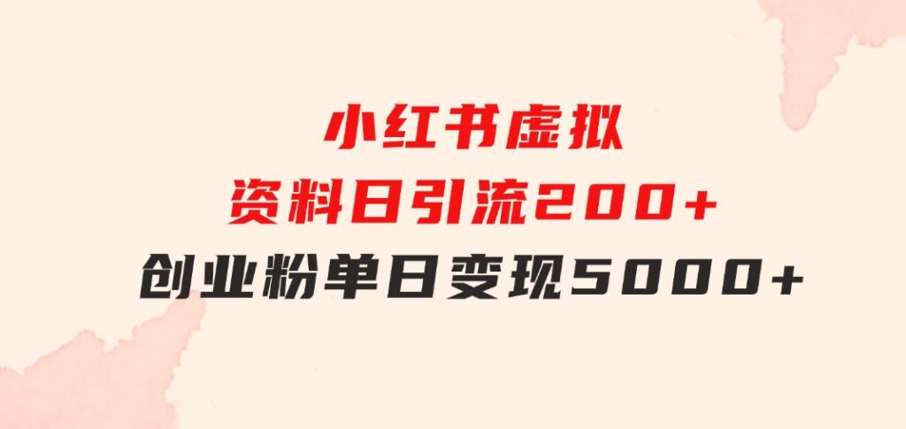 小红书虚拟资料日引流200+创业粉，单日变现5000+-大磊资源网