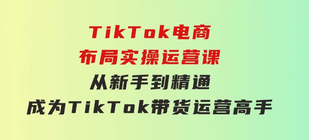 TikTok电商布局实操运营课：从新手到精通，成为TikTok带货运营高手-大磊资源网