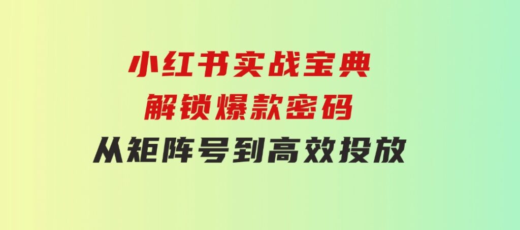 小红书实战宝典：解锁爆款密码，从矩阵号到高效投放-大磊资源网