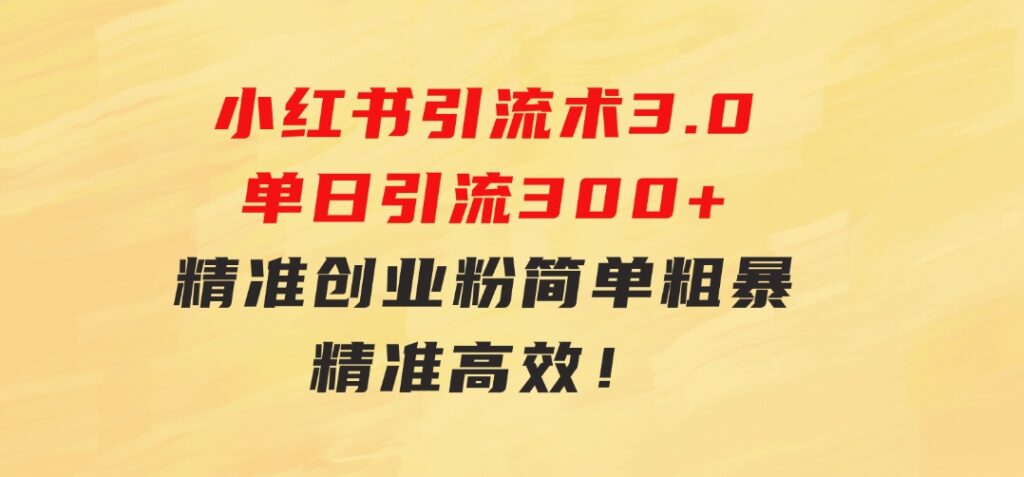 24年最新小红书引流术3.0，单日引流300+精准创业粉，简单粗暴，精准高效！-大磊资源网
