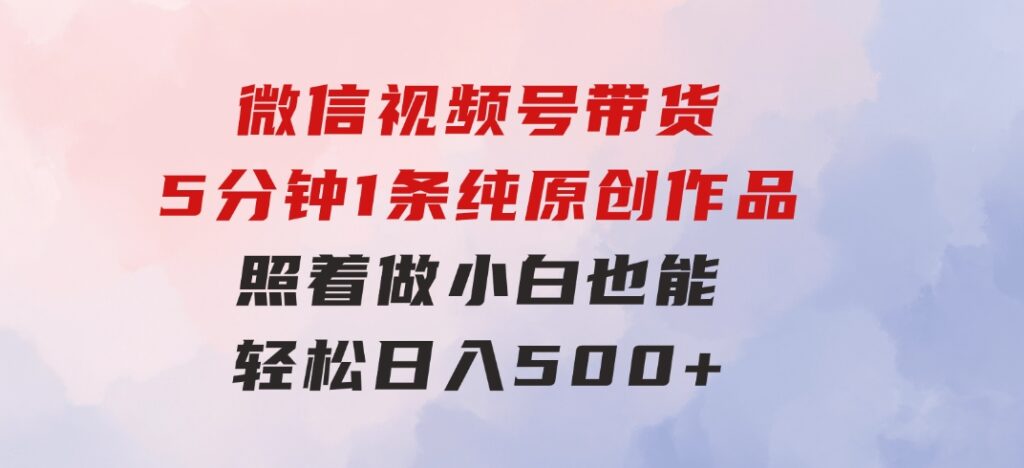微信视频号带货，5分钟1条纯原创作品，照着做小白也能轻松日入500+-大磊资源网