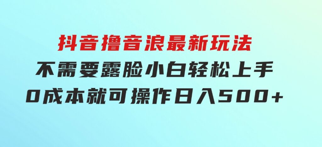 抖音撸音浪最新玩法，不需要露脸，小白轻松上手，0成本就可操作，日入500+-大磊资源网