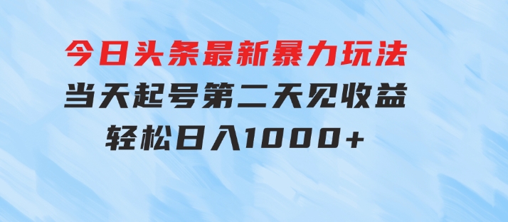 今日头条最新暴力玩法，当天起号，第二天见收益，轻松日入1000+-大磊资源网
