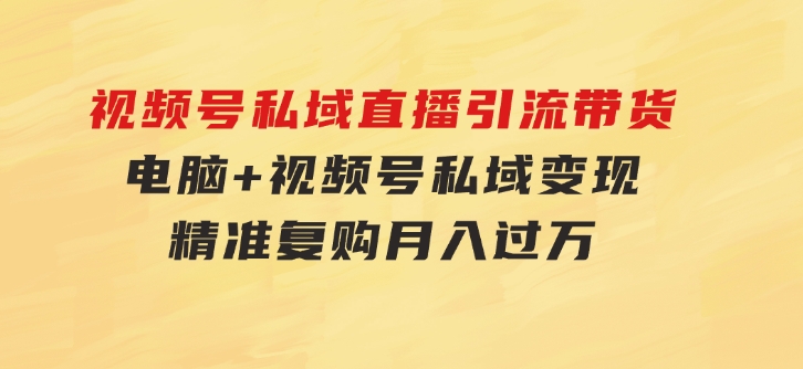 视频号私域直播引流带货：电脑+视频号，私域变现，精准复购，月入过万…-大磊资源网