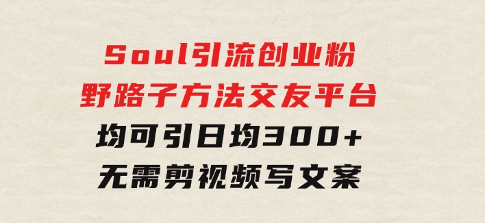Soul引流创业粉野路子方法，交友平台均可引日均300+，无需剪视频写文案-大磊资源网