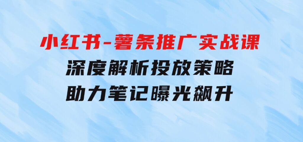 小红书-薯条推广实战课：深度解析投放策略，助力笔记曝光飙升-大磊资源网