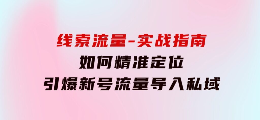 线索流量-实战指南：如何精准定位，引爆新号流量，导入私域-大磊资源网